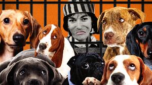 Ghislaine Maxwell in a prison outfit behind bars with sad dogs in front of her