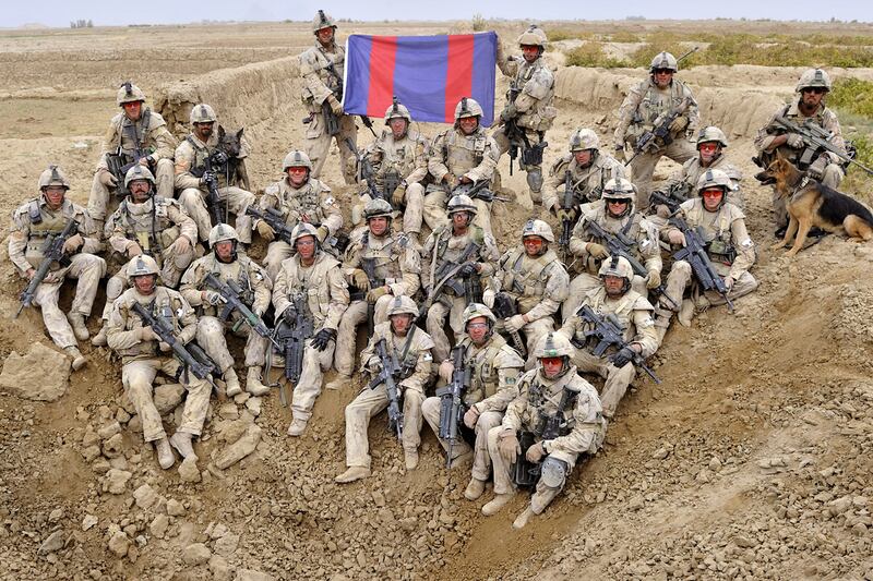 articles/2012/09/23/back-home-service-dogs-sleep-in-beds-and-sniff-the-sofa-for-mines/hero-dogs-mcelwaine_xyuo2q