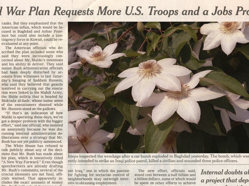 articles/2013/10/11/becca-albee-at-momenta-art-is-the-daily-pic-by-blake-gopnik/albee-daily-pic_tteunu