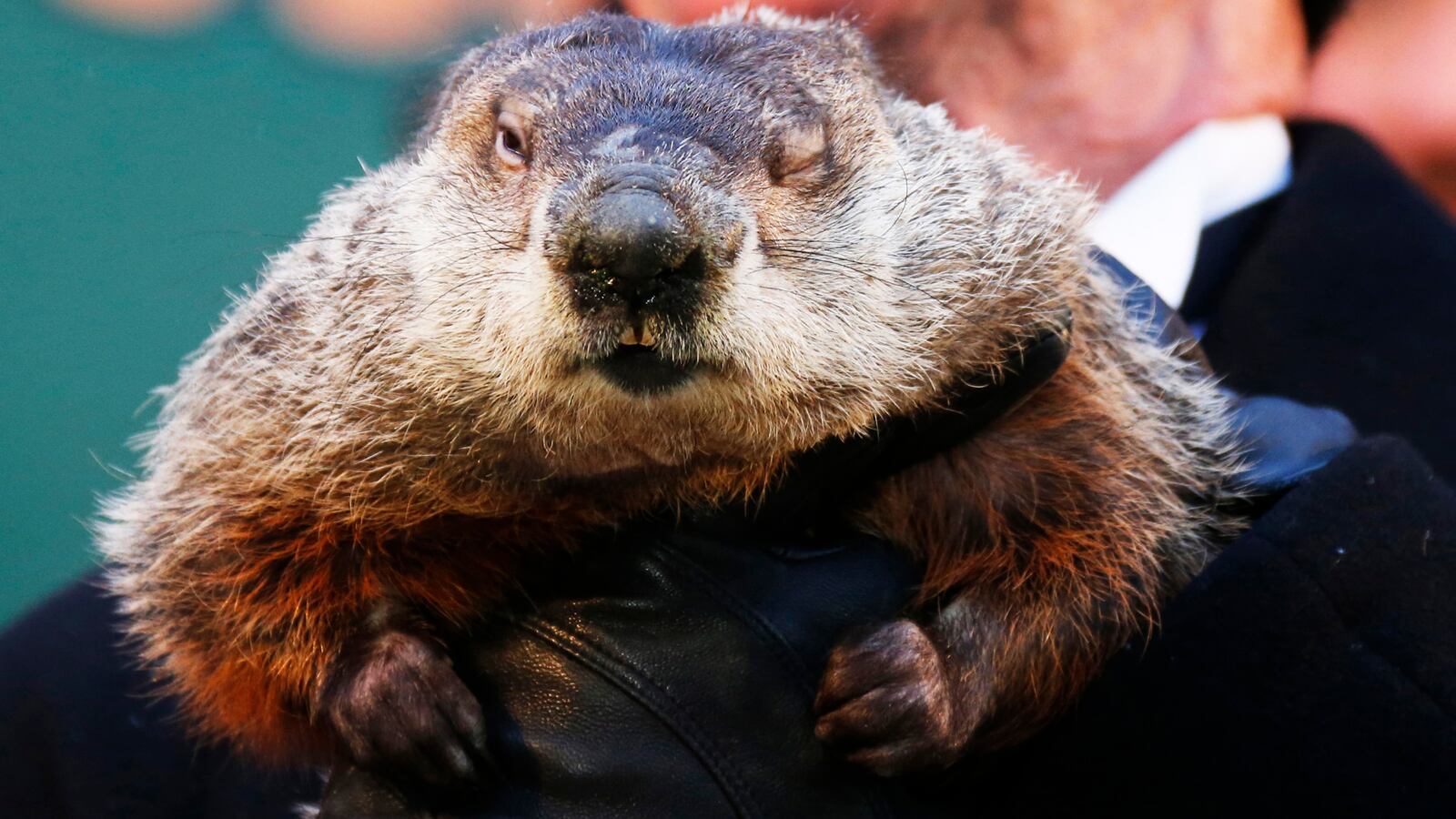 180201-ronson-grandhog-day-tease_jcxzd6