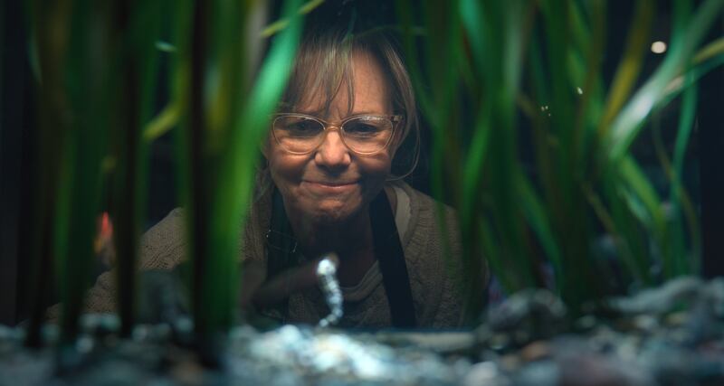 Sally Field as Tova.