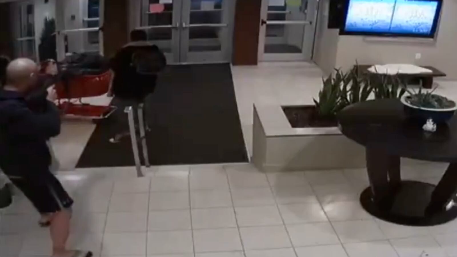 Screen_Shot_2021-04-10_at_12.01.11_PM_ulz9fn