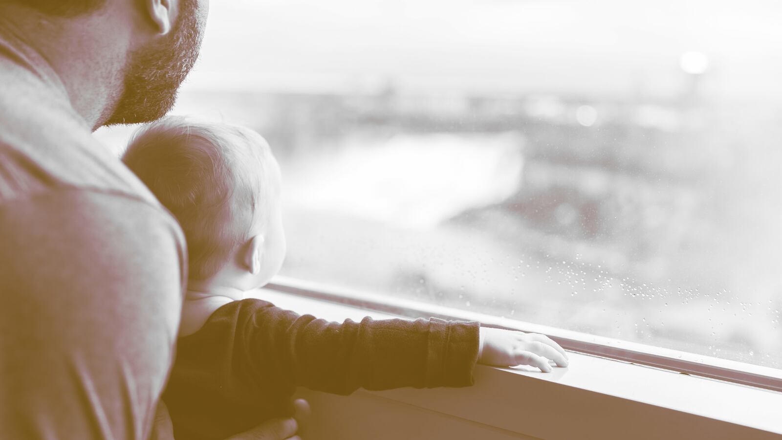 201011-seligson-tease_edeibp