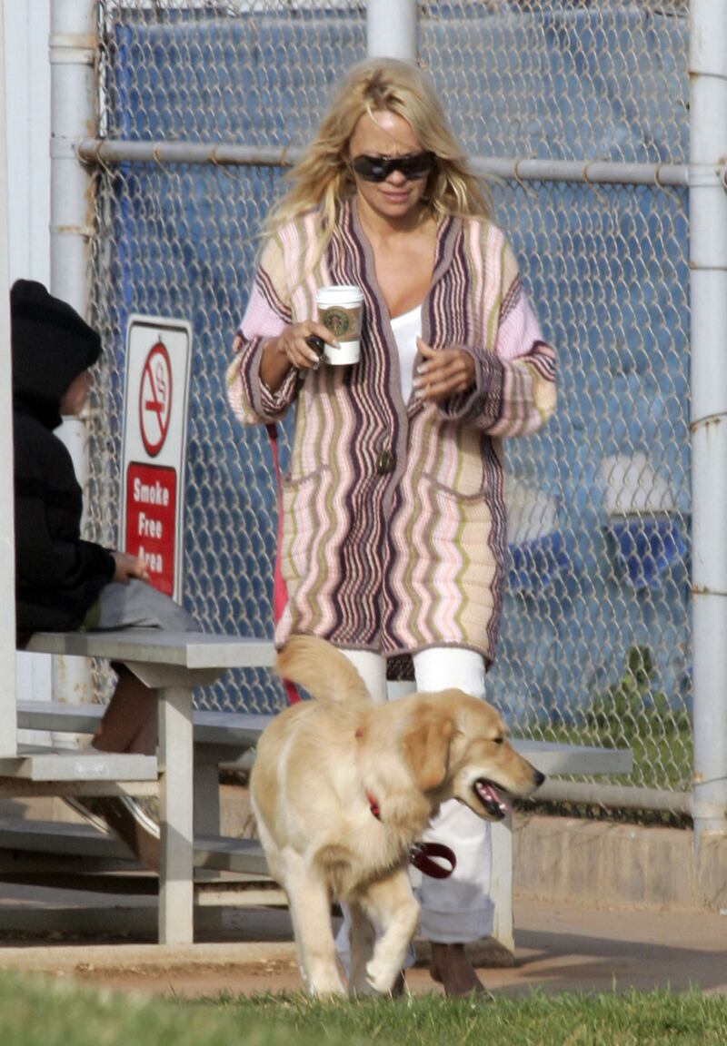 galleries/2012/11/03/blake-lively-usher-more-celebrities-crazy-about-their-dogs-photos/pamela-anderson-celeb-dogs_olnx00