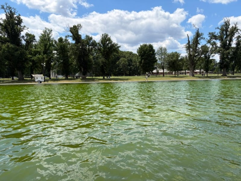 The Reflecting Pool at the Lincoln Memorial turned a bright shade of green as crews struggled to remove algae after it was recently renovated.