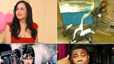 articles/2010/02/19/february-20-the-week-in-viral-videos/week-in-viral-218_saofmh