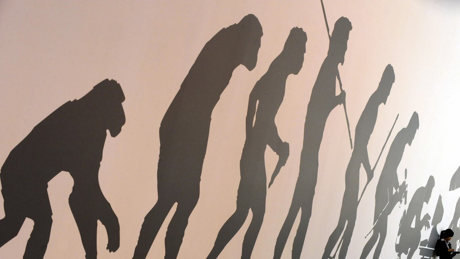 articles/2014/06/22/what-s-driving-america-s-evolution-divide/140620-giberson-evolution-tease_mqgcn1