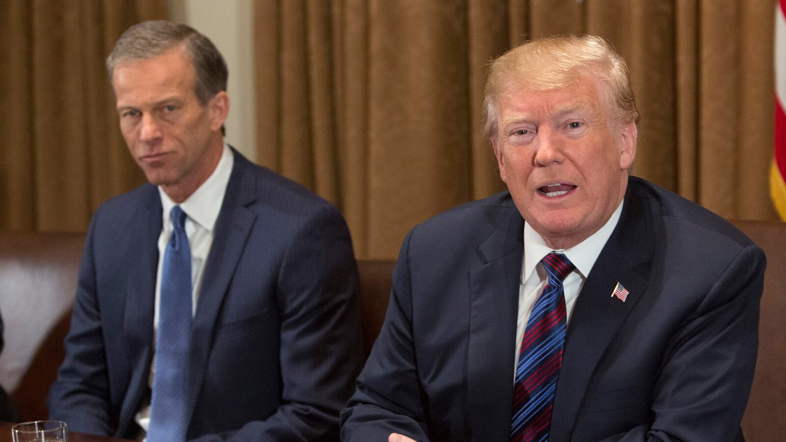 John Thune, Donald Trump