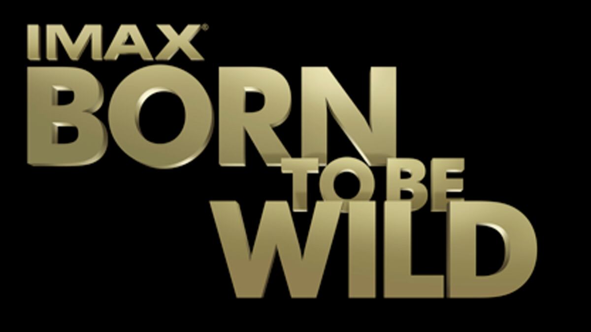 videos/2012/10/23/born-to-be-wild-trailer/born-to-be-wild-trailer-image_dw8wjy