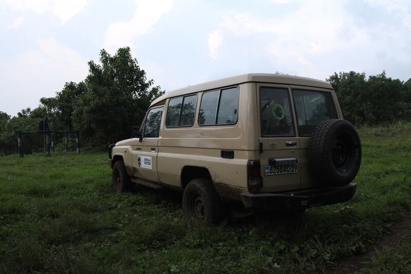 galleries/2015/06/21/the-mountain-gorillas-of-virunga-photos/150617-strochlic-gorilla12_x4z6tv