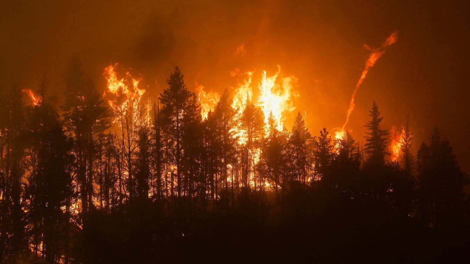 mckinney_death_toll_gkxvhf