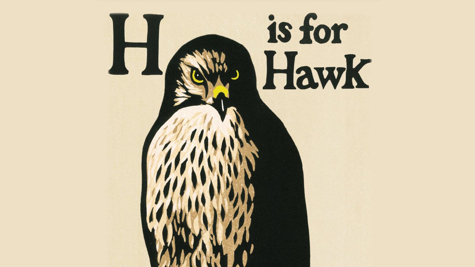 articles/2015/03/05/close-encounters-with-a-healing-hawk/150304-scholes-hawk-intv-tease_sqja1l