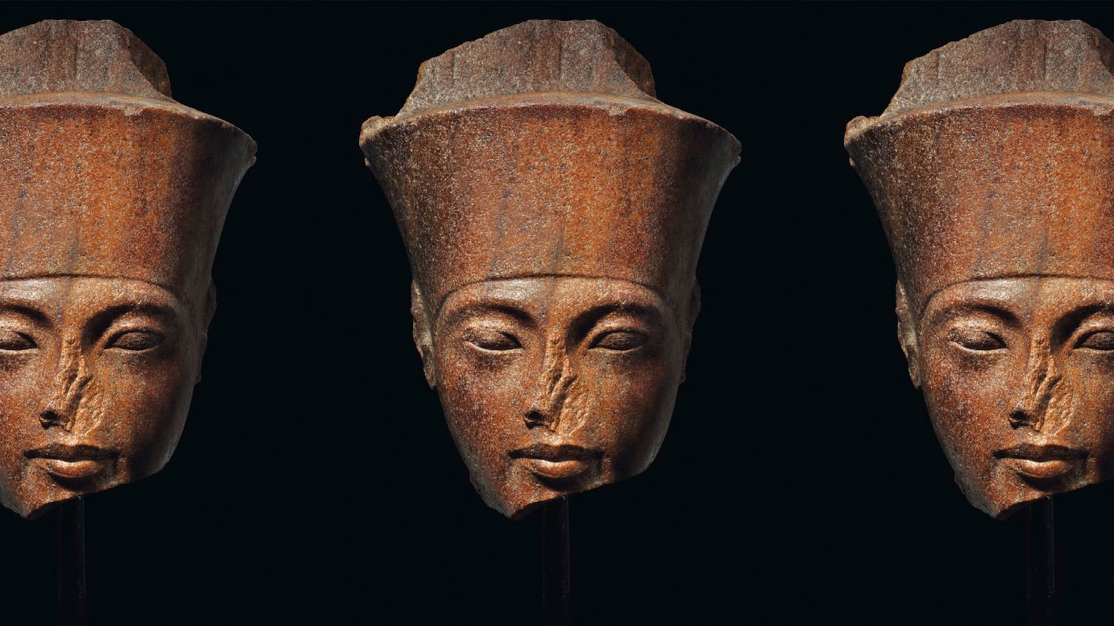 190721-moss-king-tut-head-hero_hqpx1j