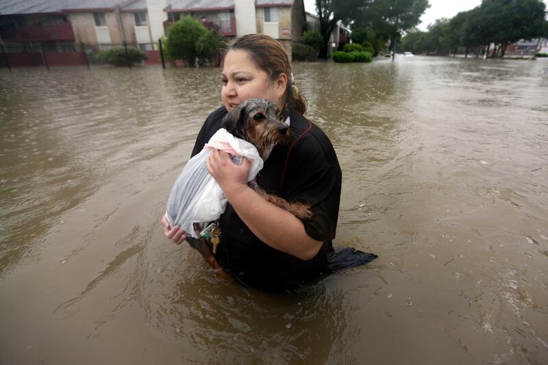 galleries/2016/04/18/houston-s-flood-emergency-photos/160418-houston-flood-gallery-3_andjq6
