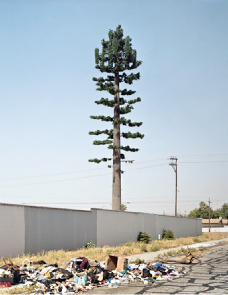 galleries/2010/01/07/robert-voit-this-is-not-a-tree/robert-voit-17_vixr5s