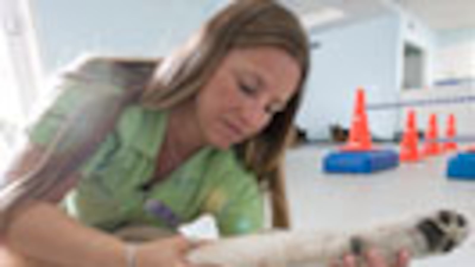 articles/2010/09/24/fat-pets-and-their-personal-trainers/skenazy-pet-personal-training_119992_c4x0ux