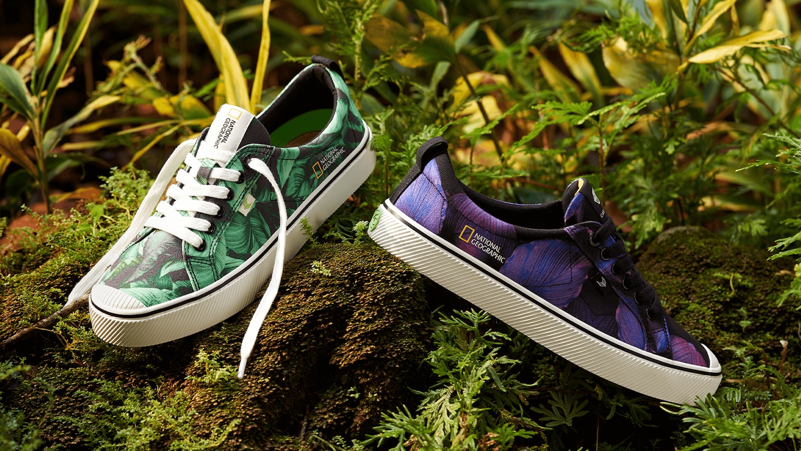 oca-low-natgeo-nature-canvas-sneaker.feature-1_2988d137-507b-496a-83b2-39b8d7c532ed_h3bzxs