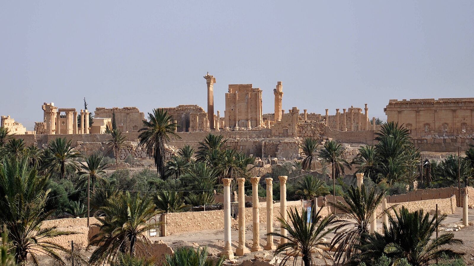 cheats/2015/06/24/isis-blows-up-ancient-shrines-by-palmyra/150624-isis-palmyra-cheat_kjcvsa