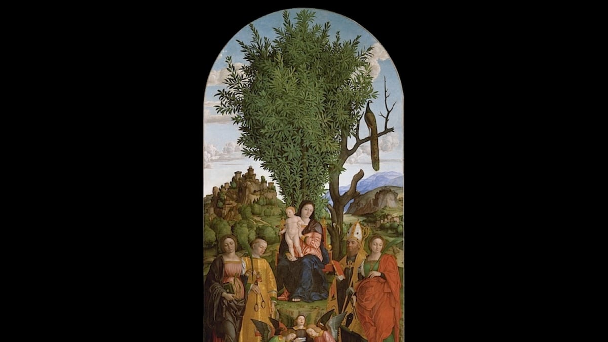 articles/2013/02/01/girolamo-dai-libri-at-the-metropolitan-museum-is-the-daily-pic-by-blake-gopnik/libri-daily-pic_tggpex