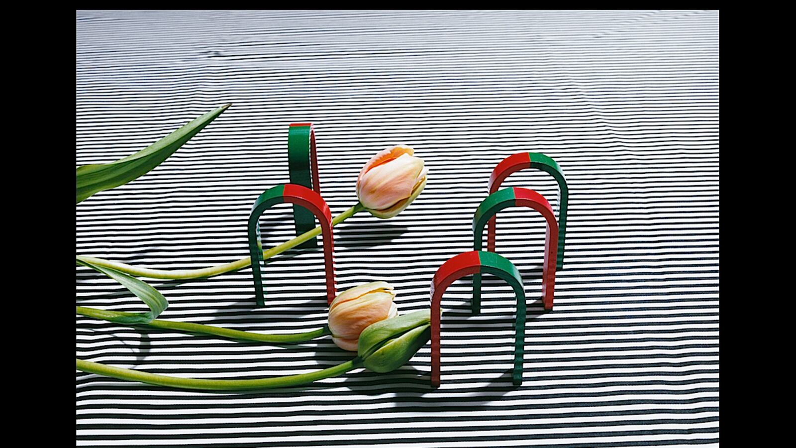 articles/2013/10/06/annette-kelm-at-moma-is-the-daily-pic-by-blake-gopnik/kelm-daily-pic_t6jzud