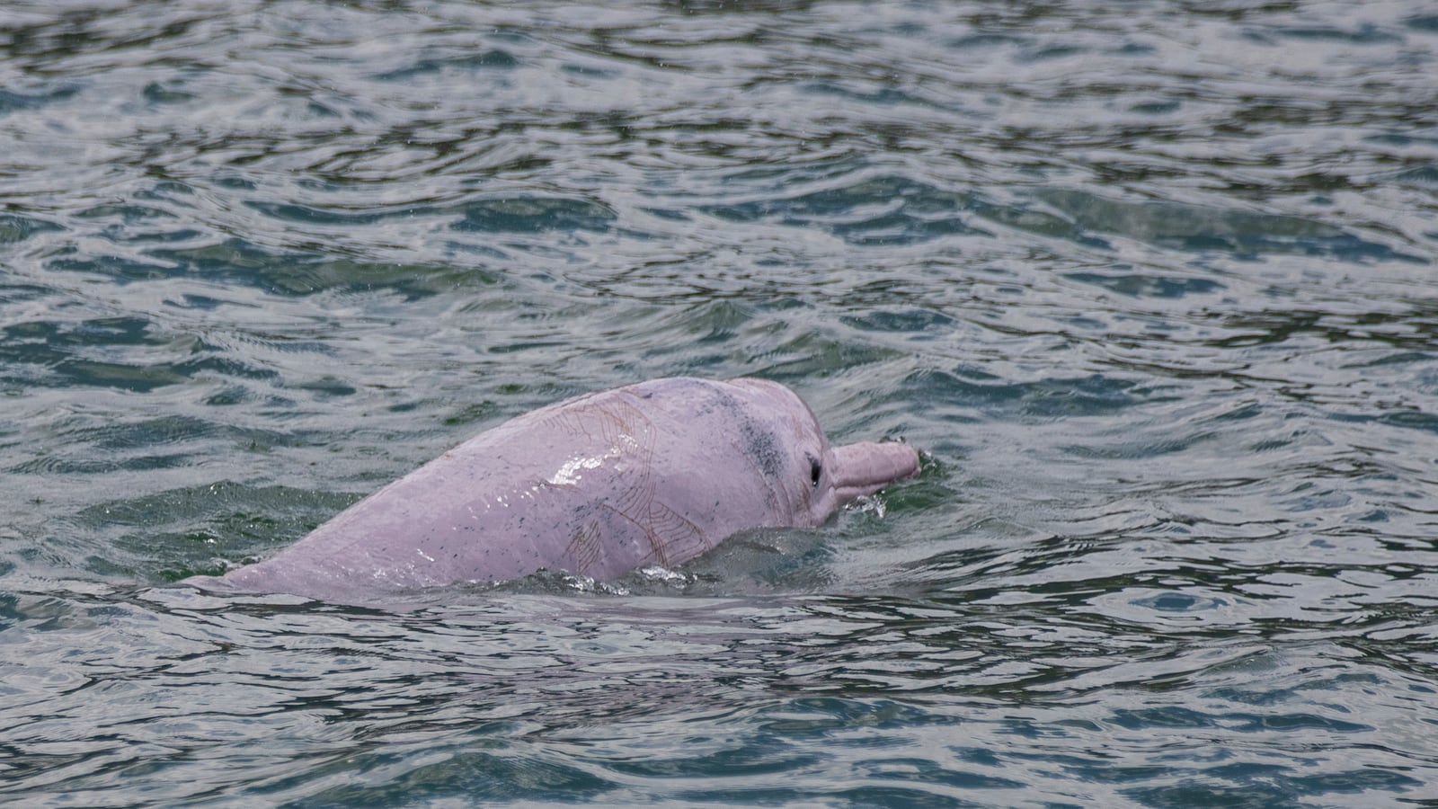 GettyImages-1229095479_dcq1lk