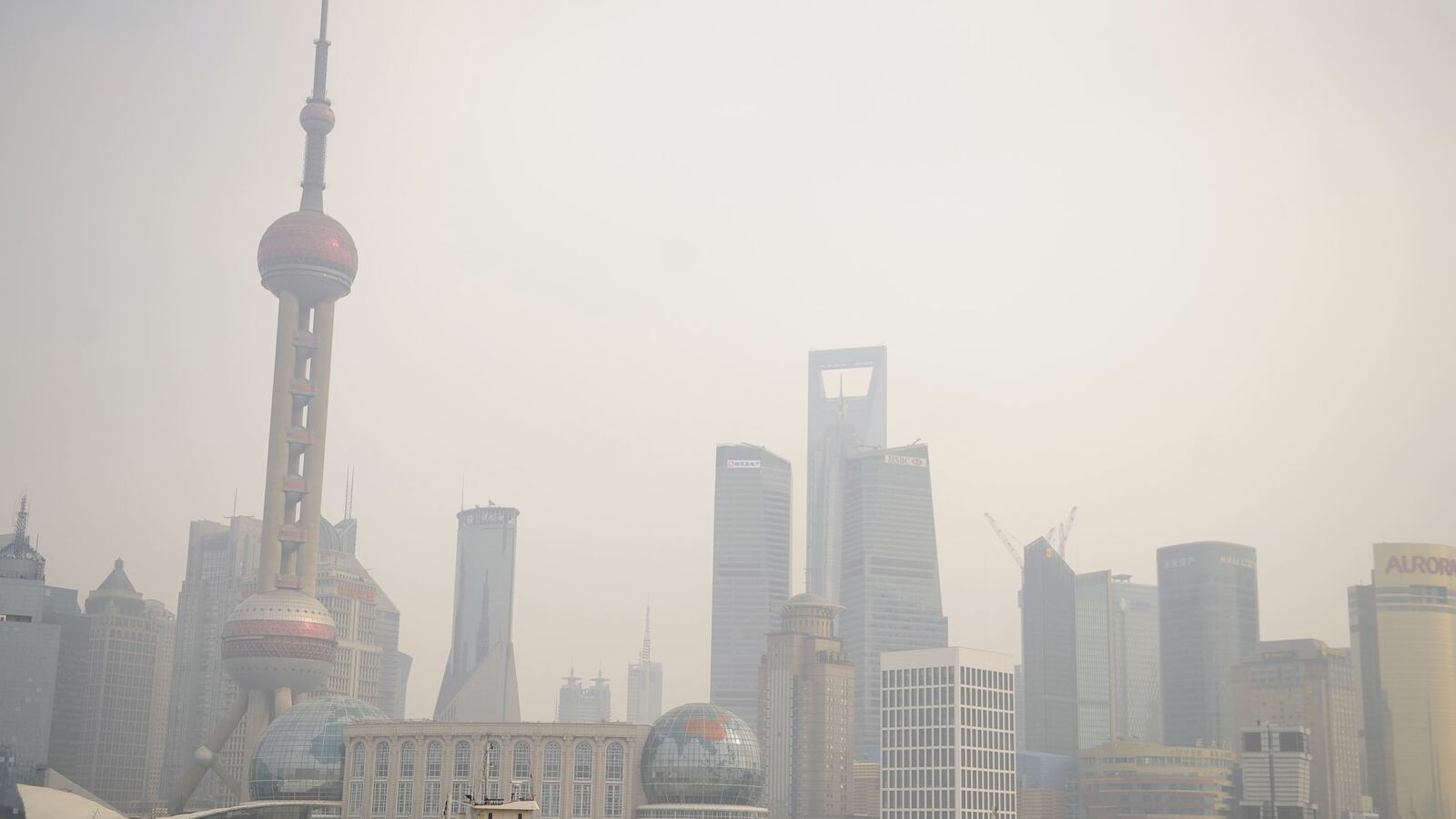 cheats/2013/03/10/900-dead-pigs-float-in-chinese-river/130310-shanghai-river-dead-pigs-cheat_k1ktxh