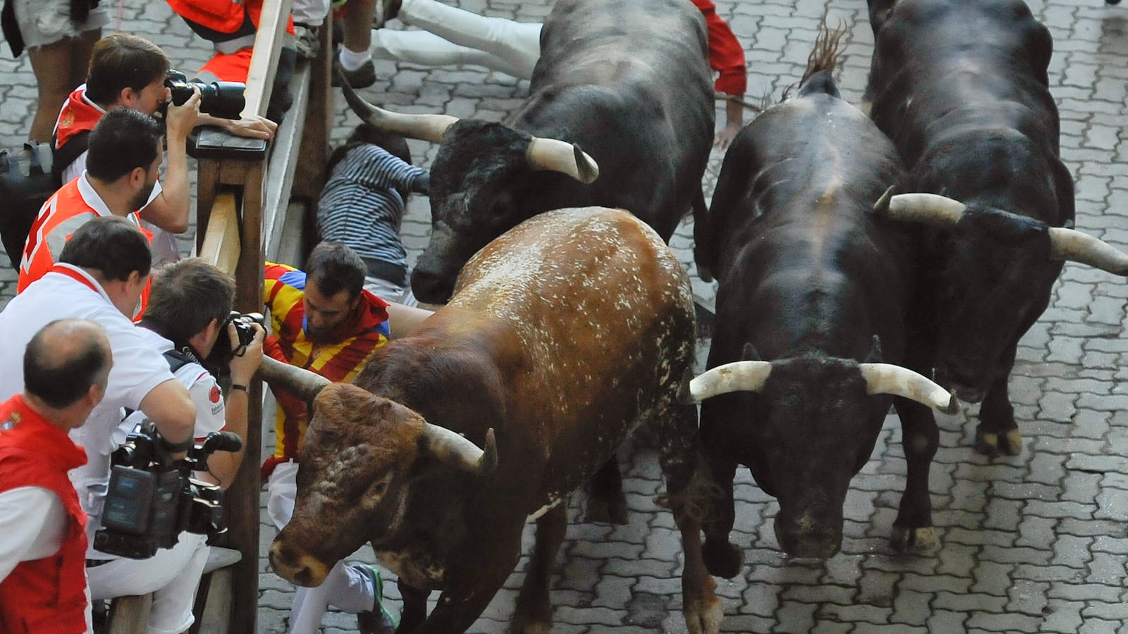 cheats/2013/08/03/great-bull-run-coming-to-u-s/130803-bull-run-cheat_ahtz2j