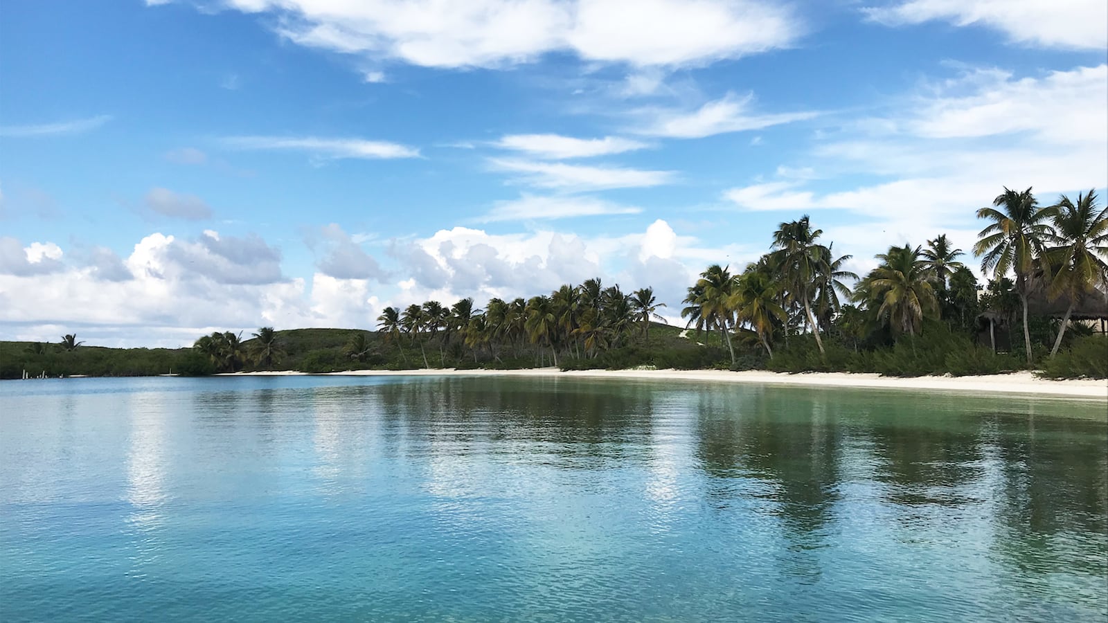 191110-frye-isla-contoy-embed-5_ml7nrb