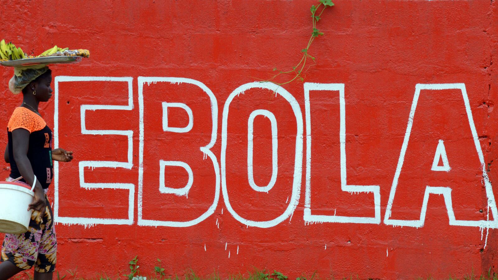 cheats/2014/09/03/u-n-doctors-group-appeal-for-ebola-aid/140902-ebola-cheat_cnmxk2