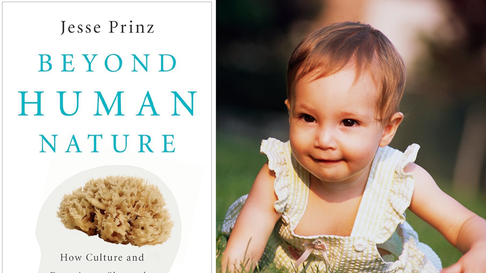 articles/2012/11/23/in-defense-of-nurture-jesse-prinz-s-beyond-human-nature/herrit-human-nature-tease_aamvjj