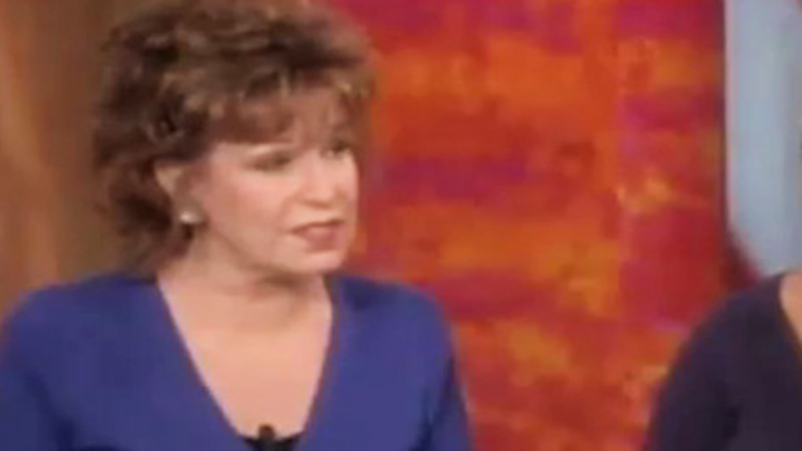 videos/2008/12/17/behar-to-kennedy-its-nepotism/the-view-behar_s6cks8