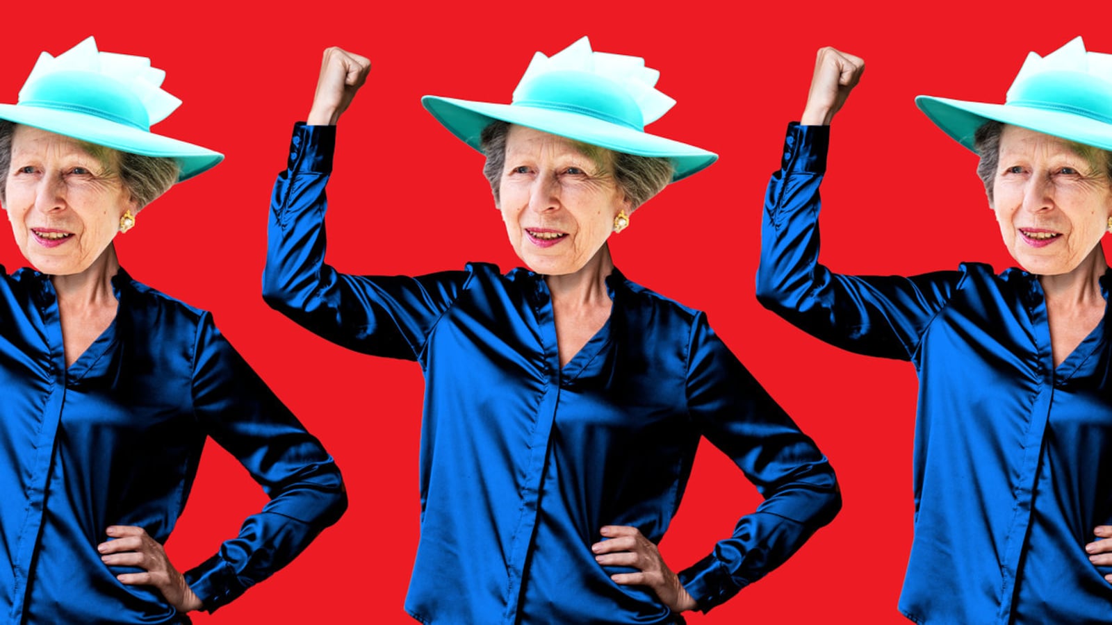 A photo illustration of Princess Anne