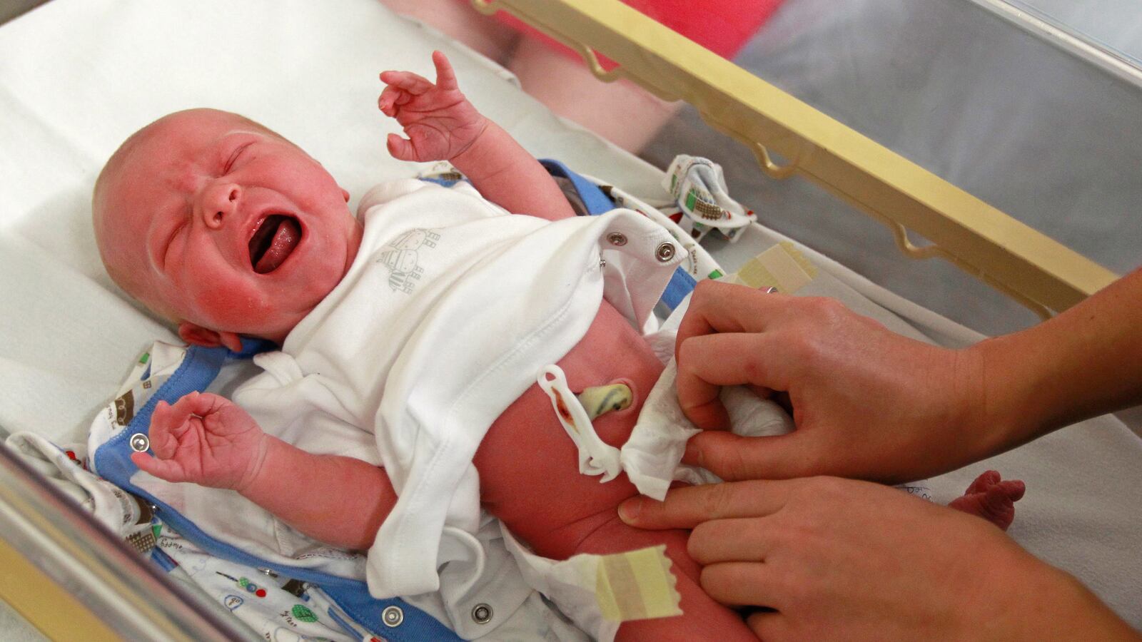 cheats/2014/07/17/english-give-up-on-having-kids/140717-england-birth-cheat_nq3wlt