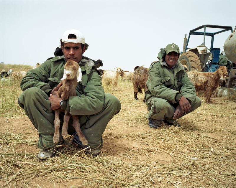 articles/2013/05/24/new-bill-threatens-bedouin-rights-in-israel/Bedouin_Shepherd_wb56lp