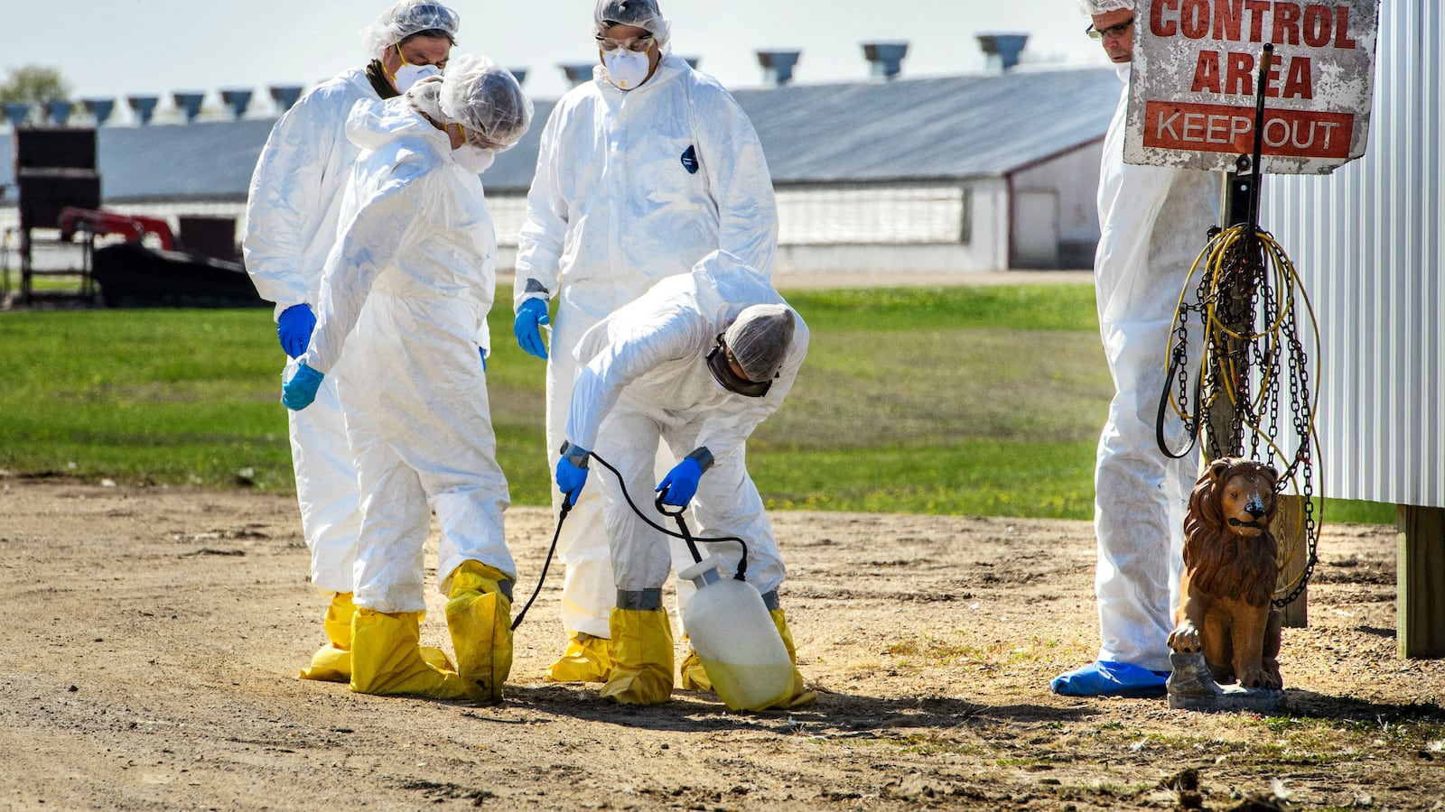 USDA workers disinfected a work crew at a Jennie-O turkey farm in Eden Valley, Minnesota, at the end of a day, Thursday, April 30, 2015.