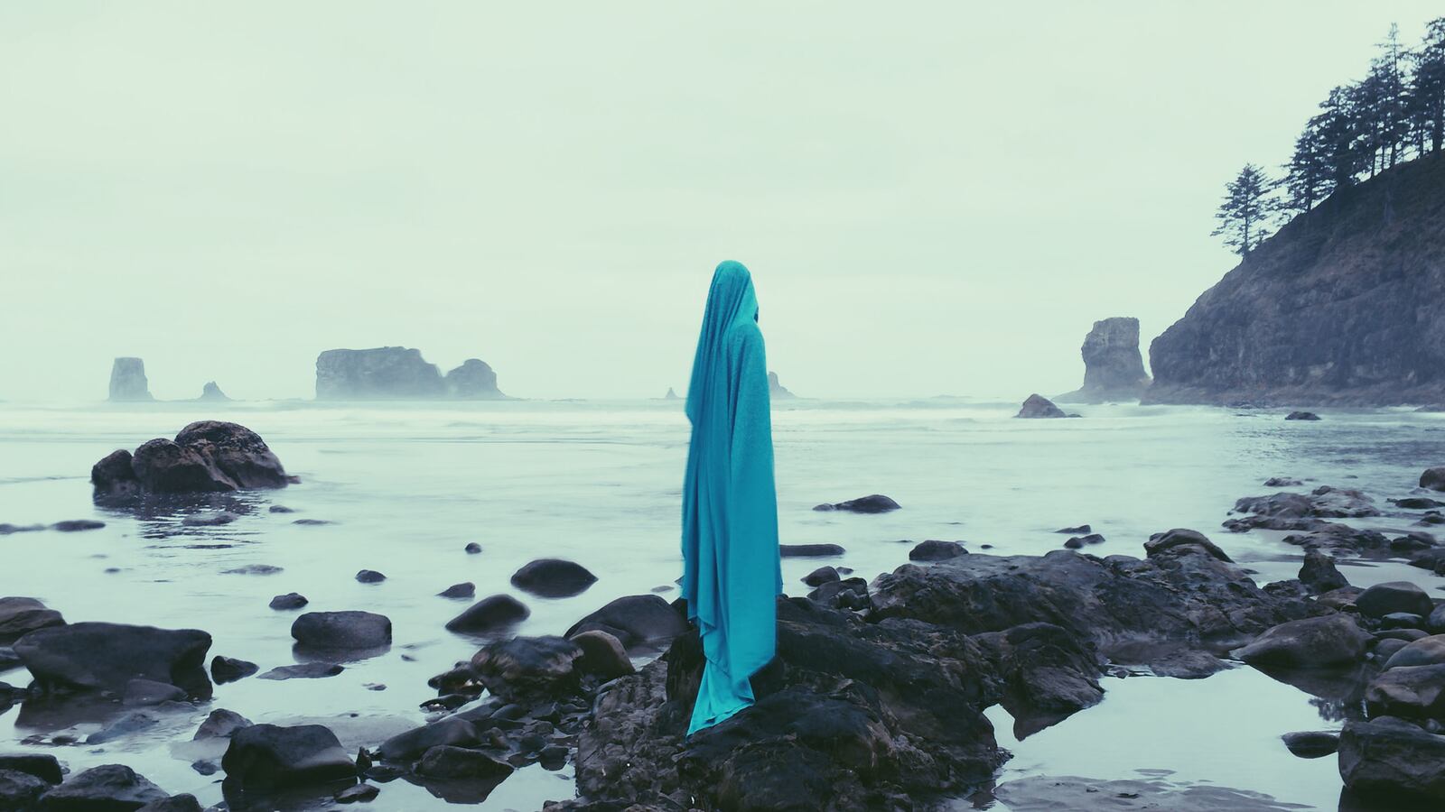 galleries/2015/06/18/iphone-photography-at-its-best/150618-ippa-tease_lfau5m