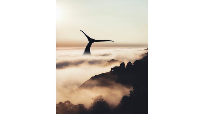 180104-justin-peters-Fogwhale_qhuxwy