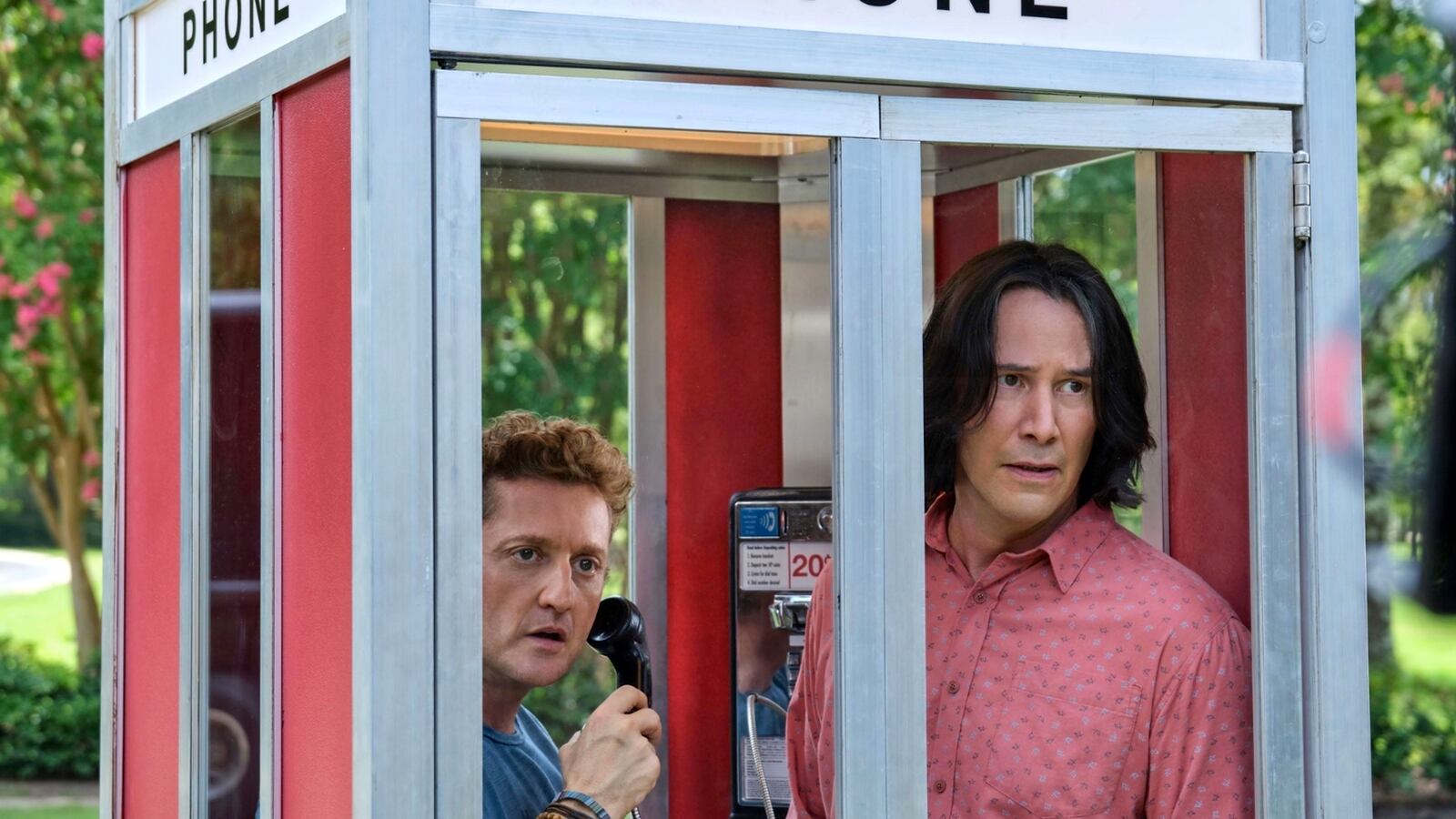 313231_1576939901.3193_du88xn