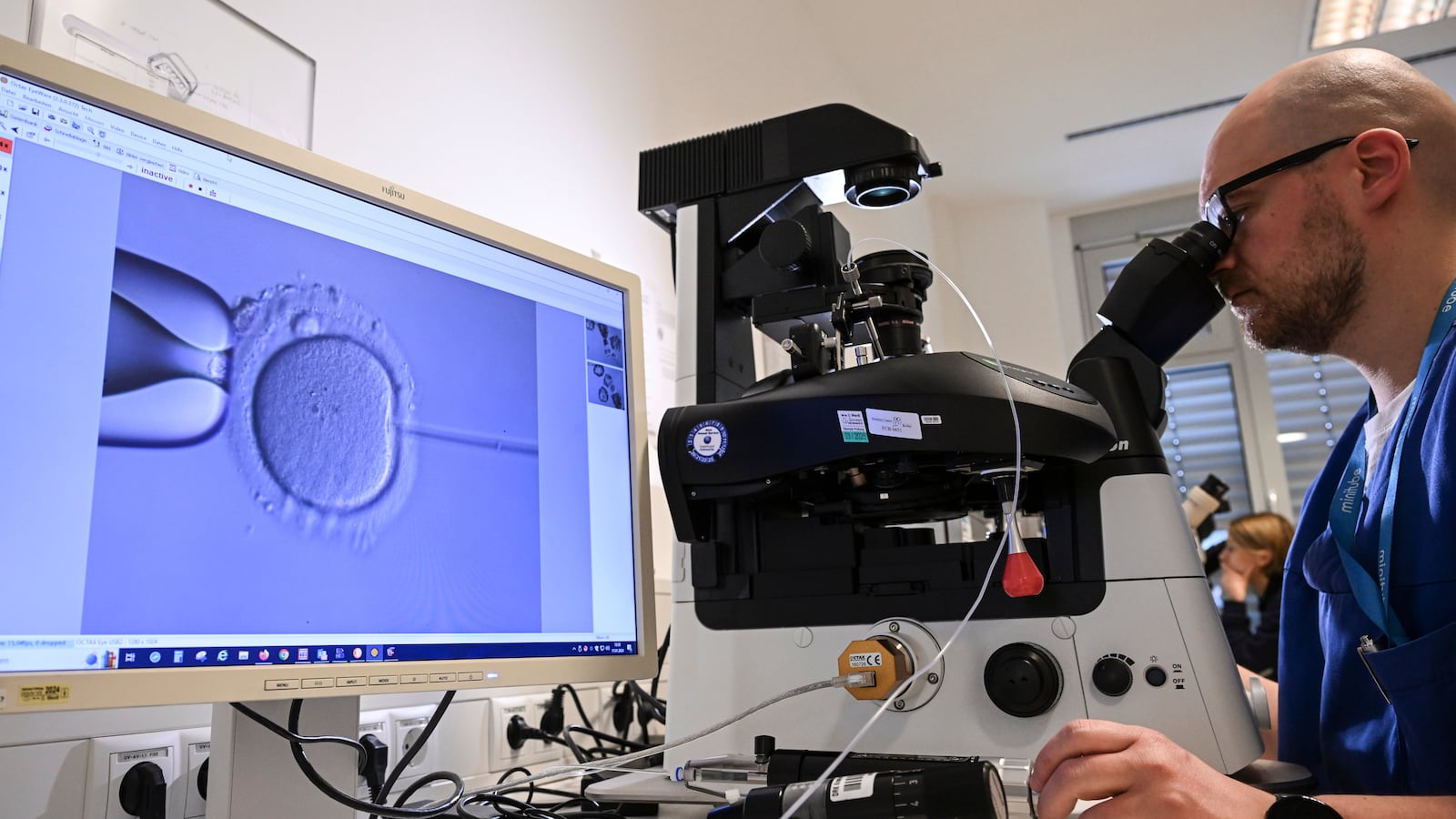 In the cell laboratory at the Fertility Center Berlin, an electron microscope is used to fertilize an egg cell.