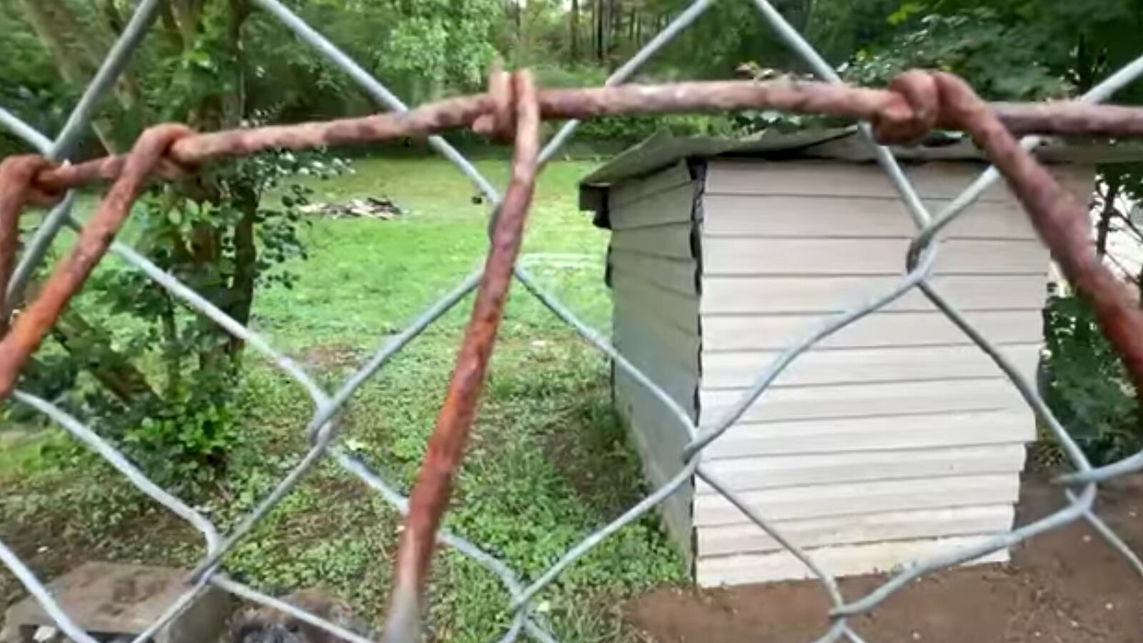 Screen_Shot_2022-05-24_at_1.22.52_PM_pjmigu