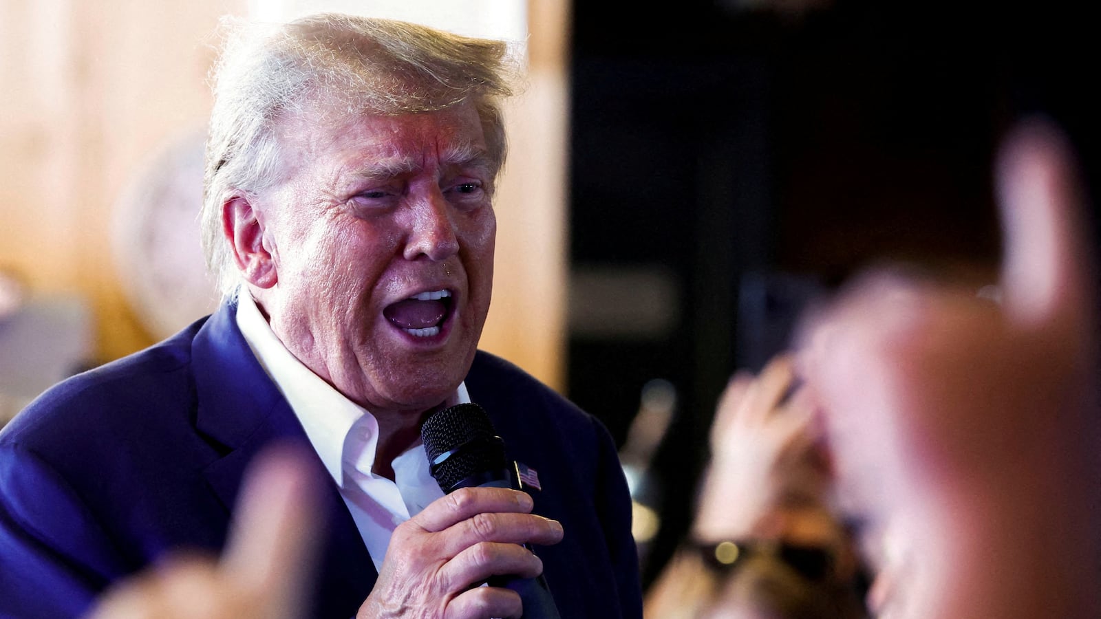 Donald Trump speaks into a microphone at a campaign event.