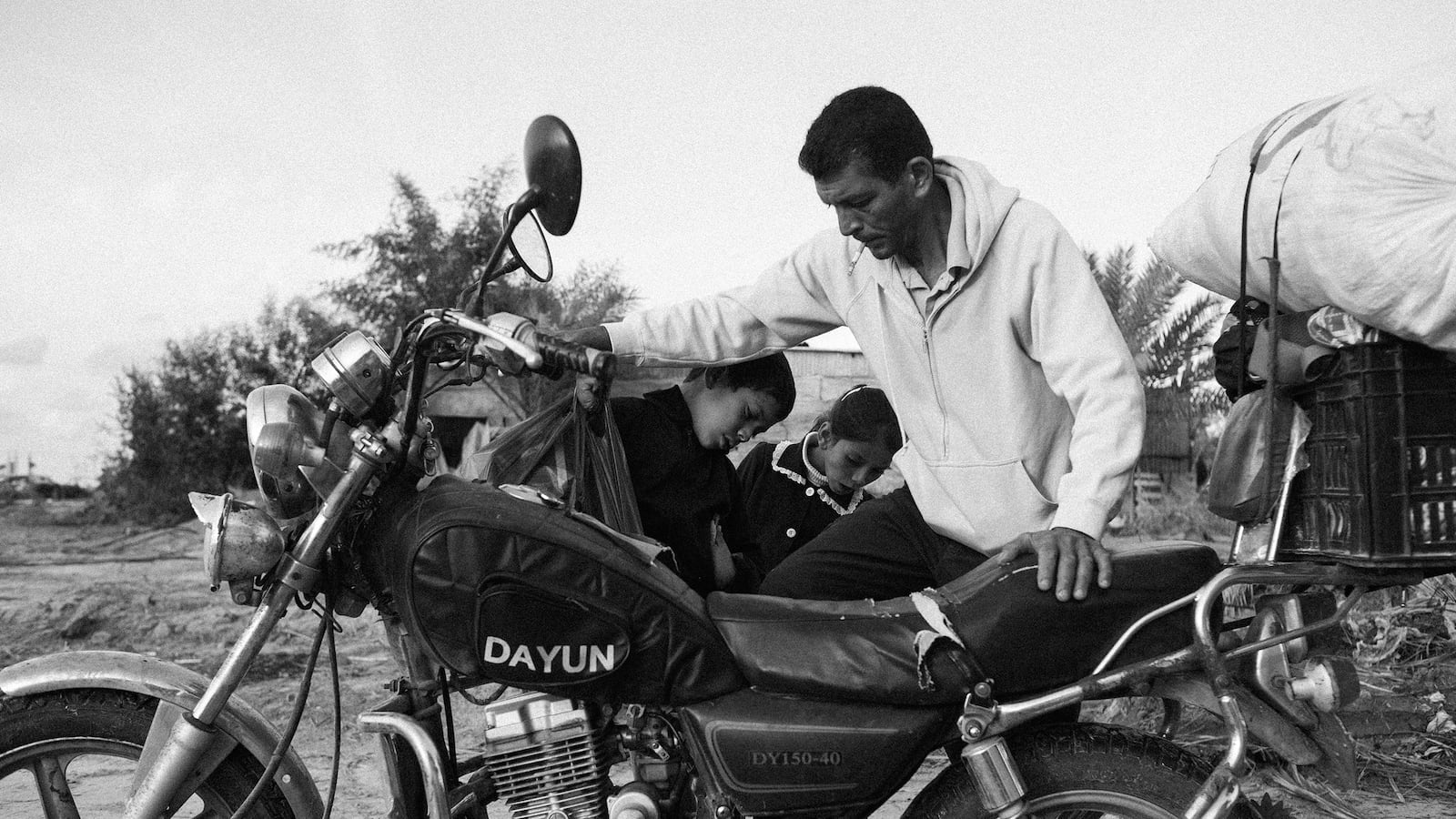 galleries/2015/02/08/what-grows-after-gaza-s-war/150130-franko-gaza-farms9_m5h09u