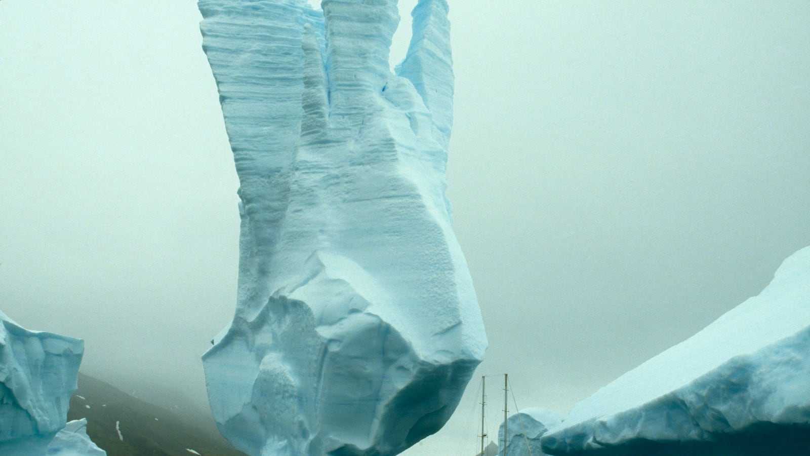 galleries/2013/11/17/stunning-images-from-125-years-of-national-geographic-photos/Lot_6_Frans_Lanting_parndn