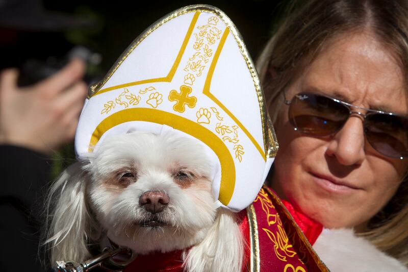 galleries/2014/10/28/happy-howl-o-ween-spooky-animals-that-will-make-you-smile/141027-pet-costumes-02_h7g10e