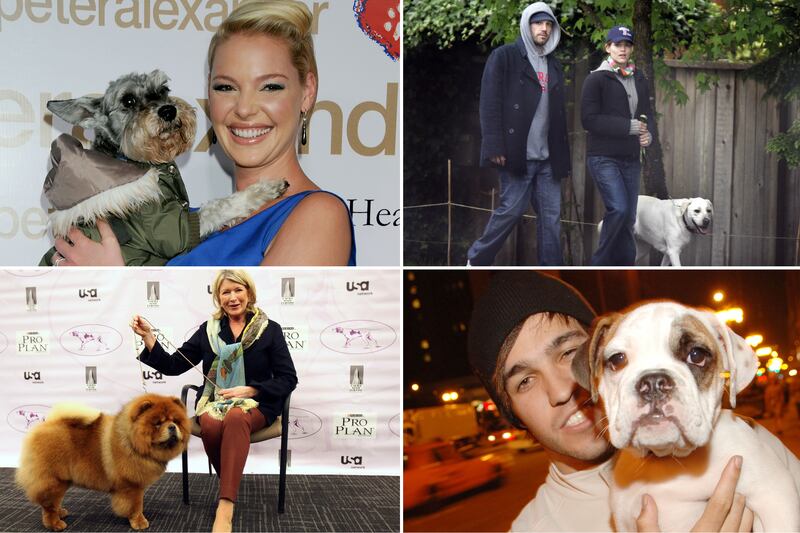 galleries/2013/02/01/ben-affleck-s-dog-and-more-celebrity-pets-with-famous-names-photos/celeb-dog-names-tease_dtaptd
