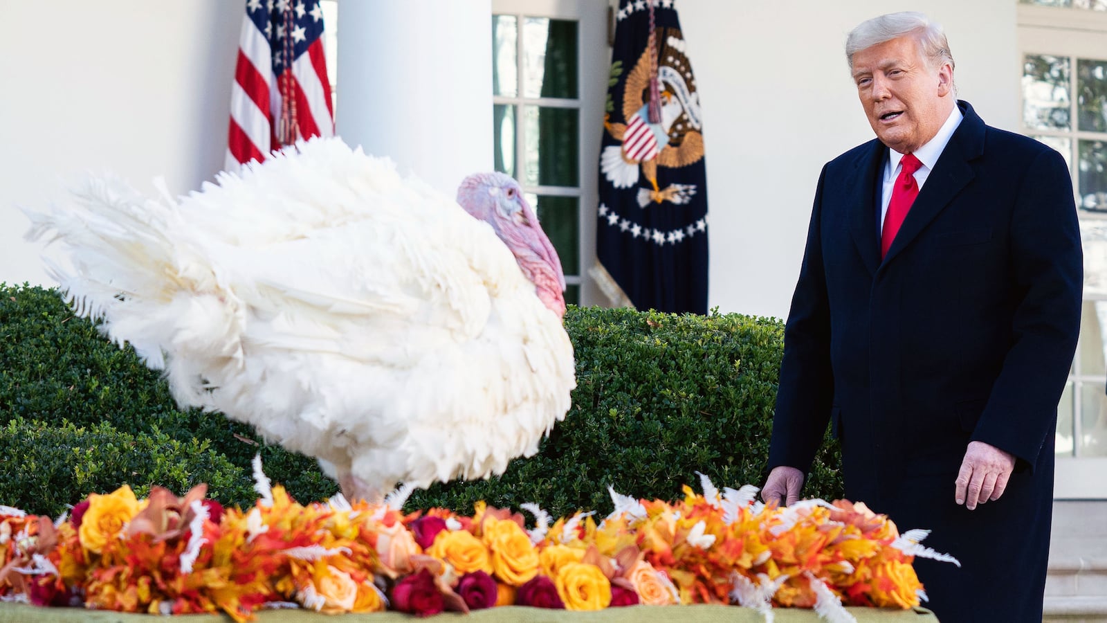 CarlsonTurkey_jbbfpz