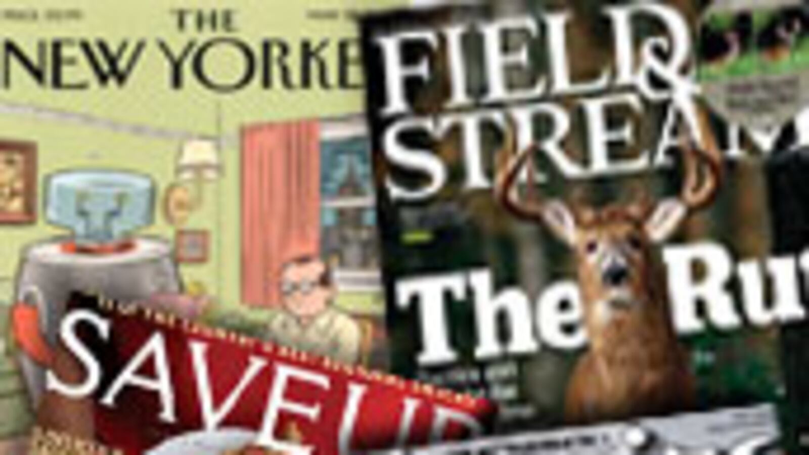 articles/2009/05/01/the-best-magazine-articles-of-the-year/asme-magazine-awards_24877_vjor5w