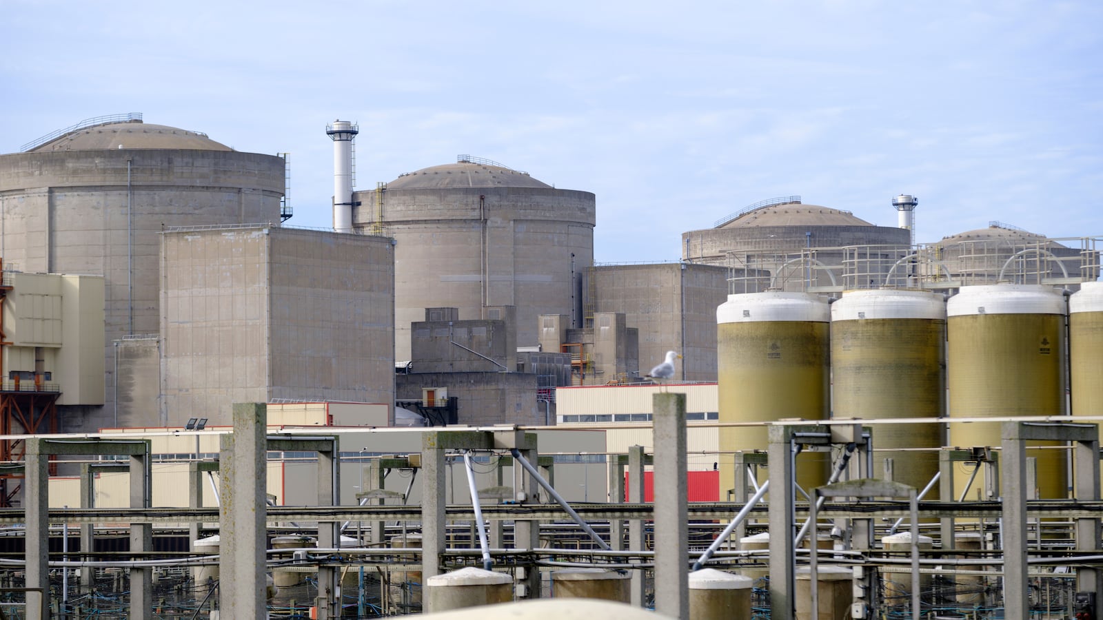 Nuclear Power Plant in Northern France Taken Down by a 'Massive' Swarm of Jellyfish