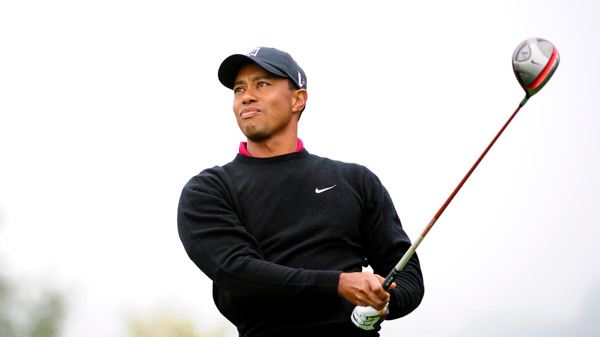 cheats/2011/12/23/the-year-s-weirdest-news-stories/tiger-woods-hot-dog-thrown-cs_snzsz5