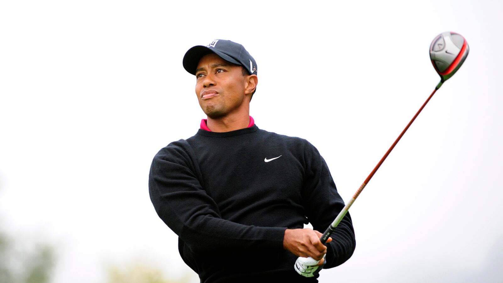 cheats/2011/12/23/the-year-s-weirdest-news-stories/tiger-woods-hot-dog-thrown-cs_snzsz5